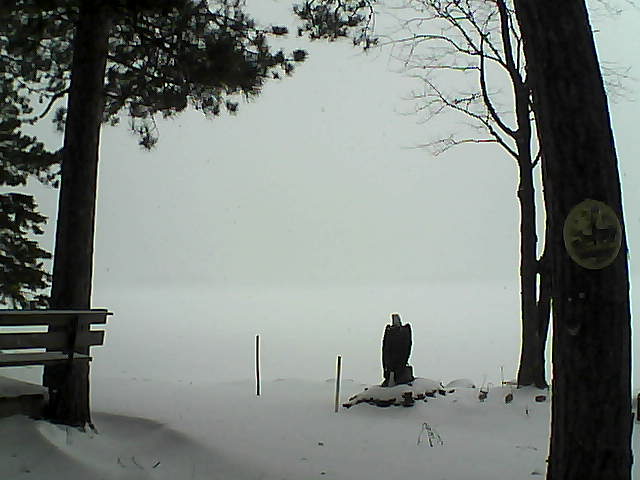 Whiteface Cam Image - Mon, 12/26/2016 11:29am 