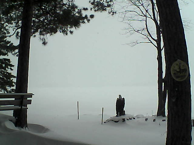 Whiteface Cam Image - Wed, 12/28/2016 1:42pm 