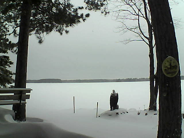 Whiteface Cam Image - Sat, 12/31/2016 8:00am 