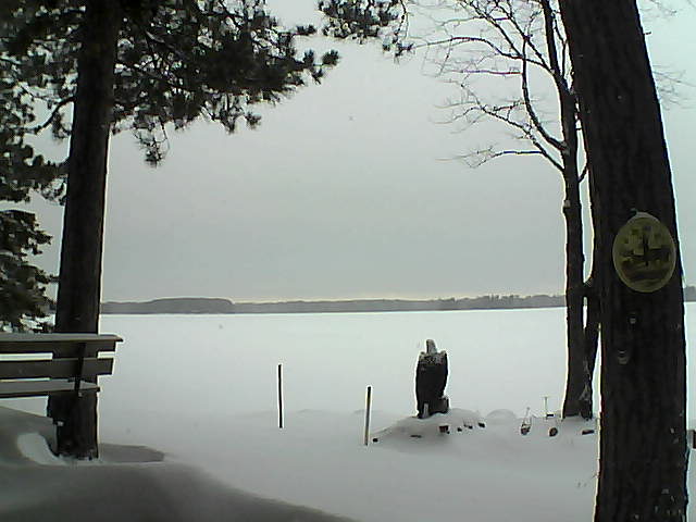 Whiteface Cam Image - Sat, 12/31/2016 8:10am 