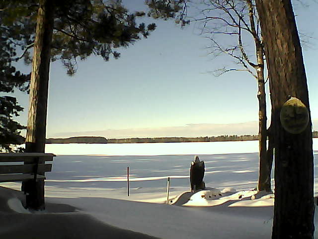 Whiteface Cam Image - Sat, 12/31/2016 12:11pm 