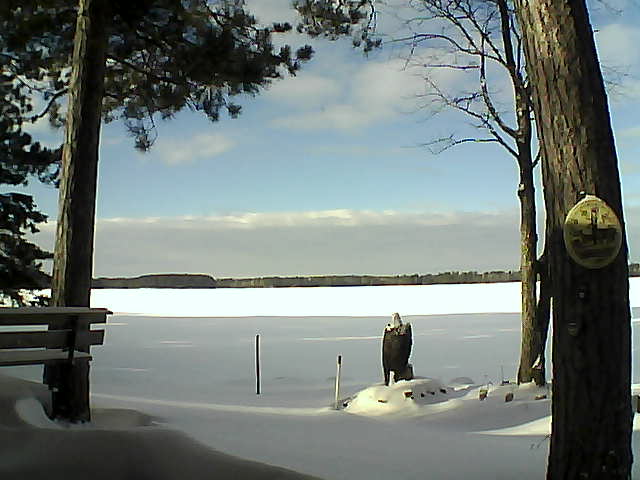 Whiteface Cam Image - Sat, 12/31/2016 1:11pm 