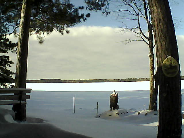 Whiteface Cam Image - Sat, 12/31/2016 1:21pm 