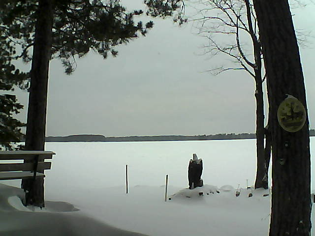 Whiteface Cam Image - Sun, 01/01/2017 8:16am 