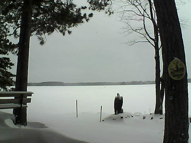 Whiteface Cam Image - Sun, 01/01/2017 8:36am 