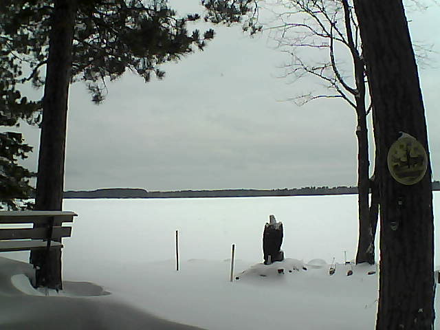 Whiteface Cam Image - Sun, 01/01/2017 8:56am 