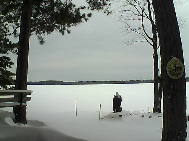 Whiteface Cam Image - Sun, 01/01/2017 9:06am 