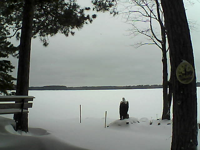 Whiteface Cam Image - Mon, 01/02/2017 10:33am 