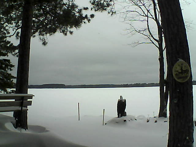 Whiteface Cam Image - Mon, 01/02/2017 10:53am 