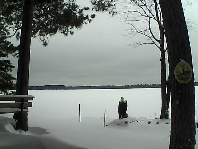 Whiteface Cam Image - Mon, 01/02/2017 11:03am 