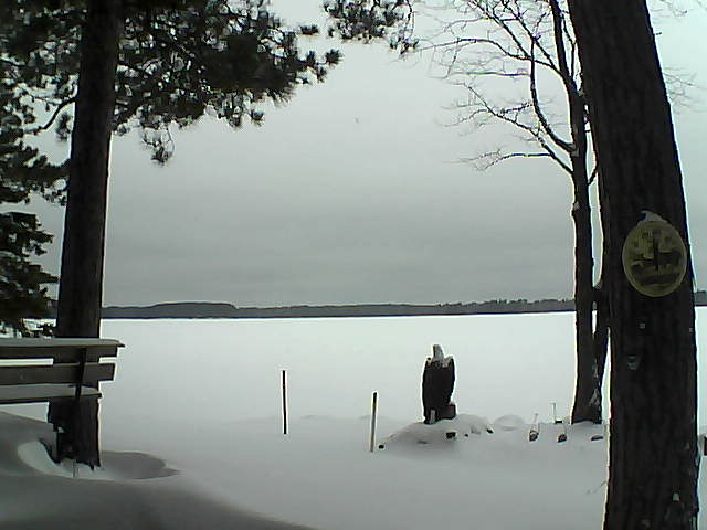 Whiteface Cam Image - Mon, 01/02/2017 11:13am 