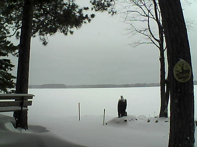 Whiteface Cam Image - Mon, 01/02/2017 11:23am 