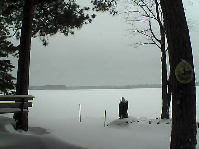 Whiteface Cam Image - Mon, 01/02/2017 11:33am 