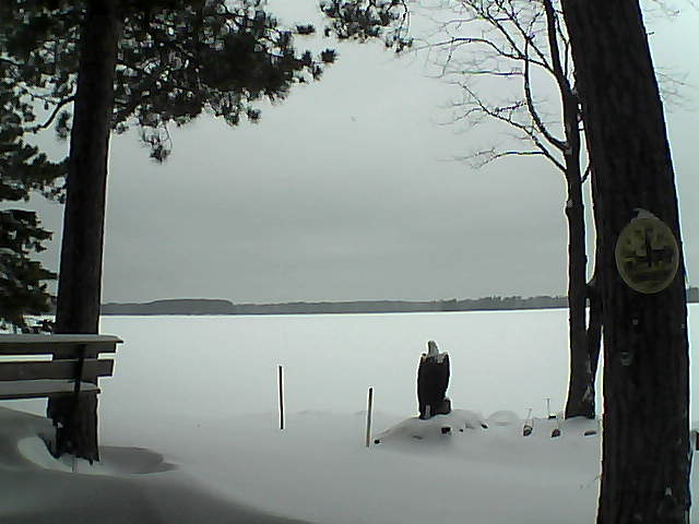 Whiteface Cam Image - Mon, 01/02/2017 11:53am 