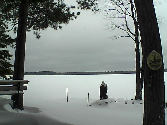 Whiteface Cam Image - Mon, 01/02/2017 12:23pm 