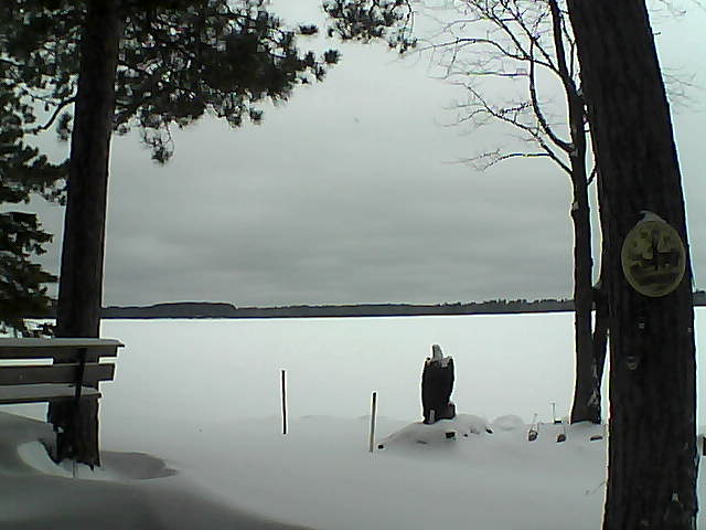 Whiteface Cam Image - Mon, 01/02/2017 12:33pm 