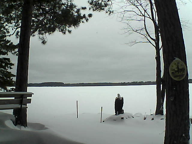 Whiteface Cam Image - Mon, 01/02/2017 12:43pm 