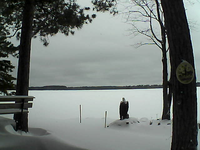 Whiteface Cam Image - Mon, 01/02/2017 1:04pm 