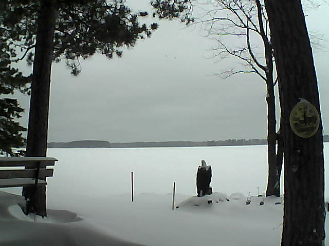 Whiteface Cam Image - Mon, 01/02/2017 1:34pm 