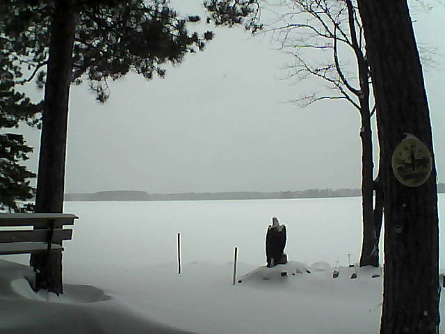 Whiteface Cam Image - Mon, 01/02/2017 2:24pm 