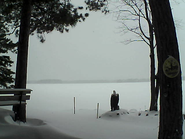 Whiteface Cam Image - Mon, 01/02/2017 2:34pm 