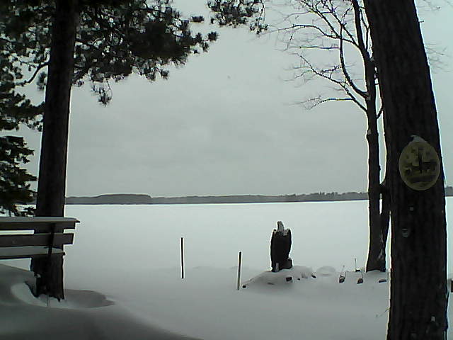 Whiteface Cam Image - Mon, 01/02/2017 2:54pm 