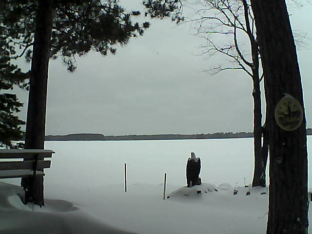 Whiteface Cam Image - Mon, 01/02/2017 3:14pm 