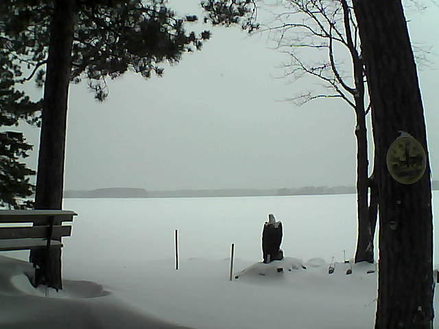 Whiteface Cam Image - Mon, 01/02/2017 3:44pm 