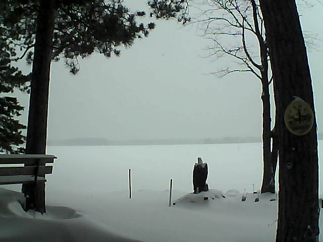 Whiteface Cam Image - Mon, 01/02/2017 4:04pm 