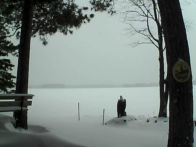 Whiteface Cam Image - Mon, 01/02/2017 4:34pm 