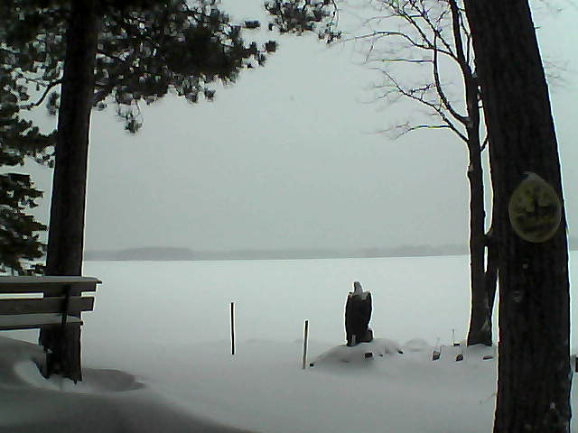 Whiteface Cam Image - Mon, 01/02/2017 4:44pm 