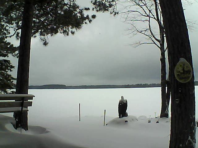 Whiteface Cam Image - Tue, 01/03/2017 8:59am 