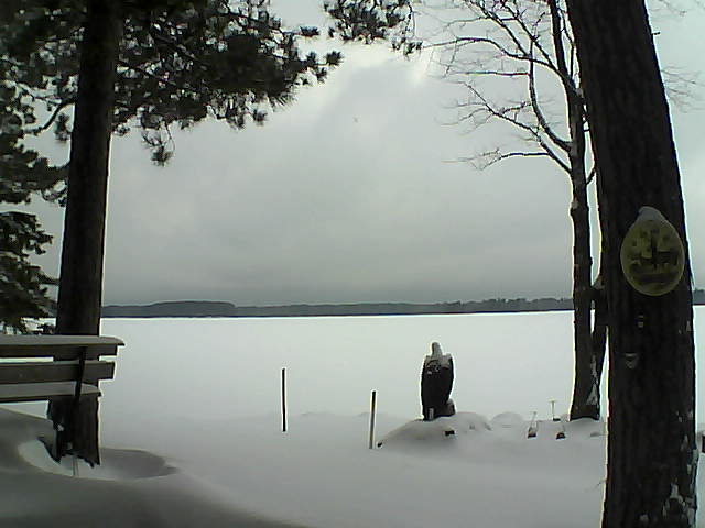 Whiteface Cam Image - Tue, 01/03/2017 9:09am 