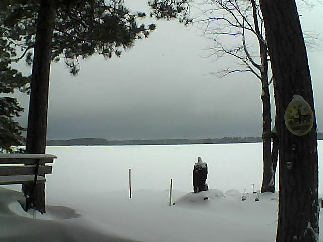 Whiteface Cam Image - Tue, 01/03/2017 9:29am 