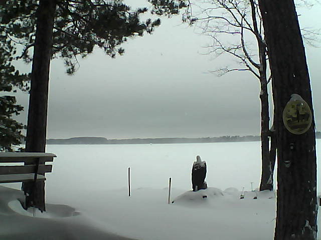 Whiteface Cam Image - Tue, 01/03/2017 9:39am 