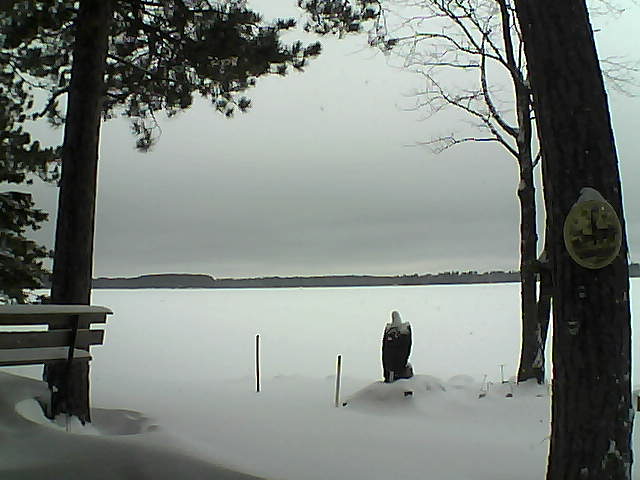 Whiteface Cam Image - Tue, 01/03/2017 9:49am 