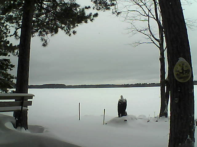 Whiteface Cam Image - Tue, 01/03/2017 9:59am 