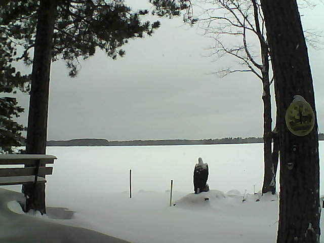 Whiteface Cam Image - Tue, 01/03/2017 10:29am 