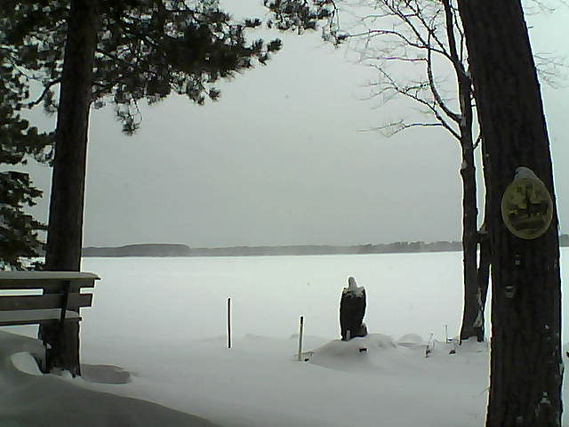 Whiteface Cam Image - Tue, 01/03/2017 11:50am 