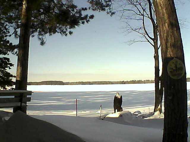 Whiteface Cam Image - Fri, 01/06/2017 11:38am 