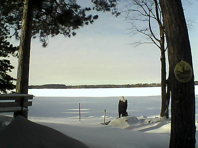 Whiteface Cam Image - Fri, 01/06/2017 12:49pm 