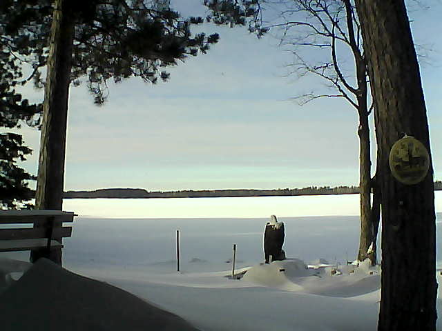 Whiteface Cam Image - Fri, 01/06/2017 1:19pm 