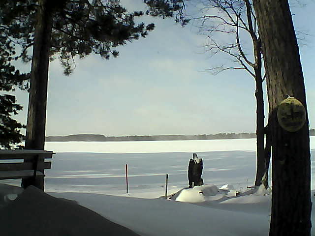 Whiteface Cam Image - Sat, 01/07/2017 12:04pm 