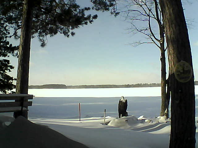 Whiteface Cam Image - Sat, 01/07/2017 1:04pm 