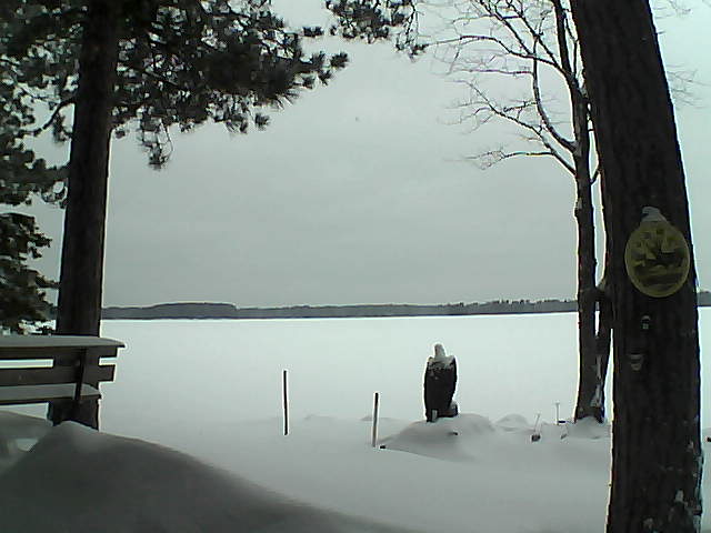 Whiteface Cam Image - Mon, 01/09/2017 7:47am 