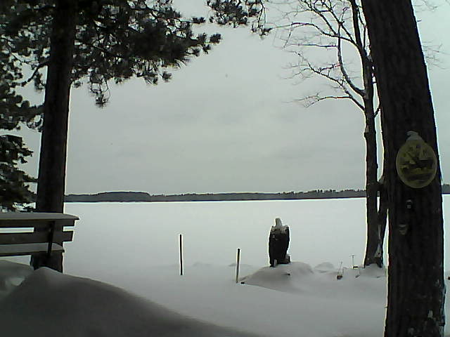 Whiteface Cam Image - Mon, 01/09/2017 9:47am 