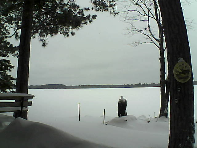 Whiteface Cam Image - Mon, 01/09/2017 10:27am 