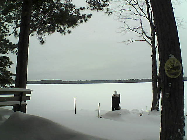 Whiteface Cam Image - Mon, 01/09/2017 10:37am 