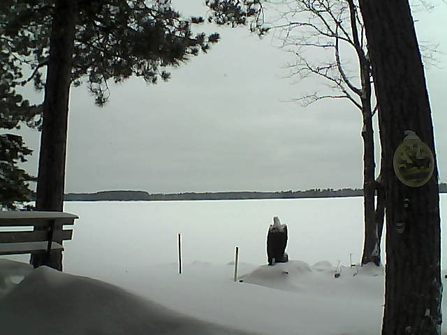 Whiteface Cam Image - Mon, 01/09/2017 11:07am 