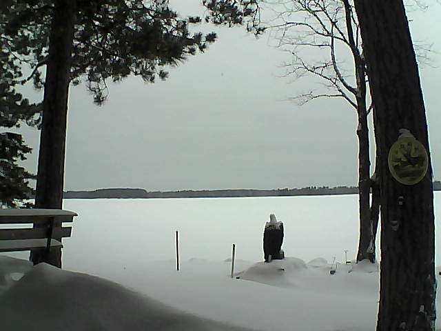 Whiteface Cam Image - Mon, 01/09/2017 11:37am 